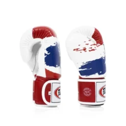 Gants Cuir Multiboxe Thaï - Pride Fairtex -Boxe Boutique gants cuir multiboxe thai pride fairtex 2
